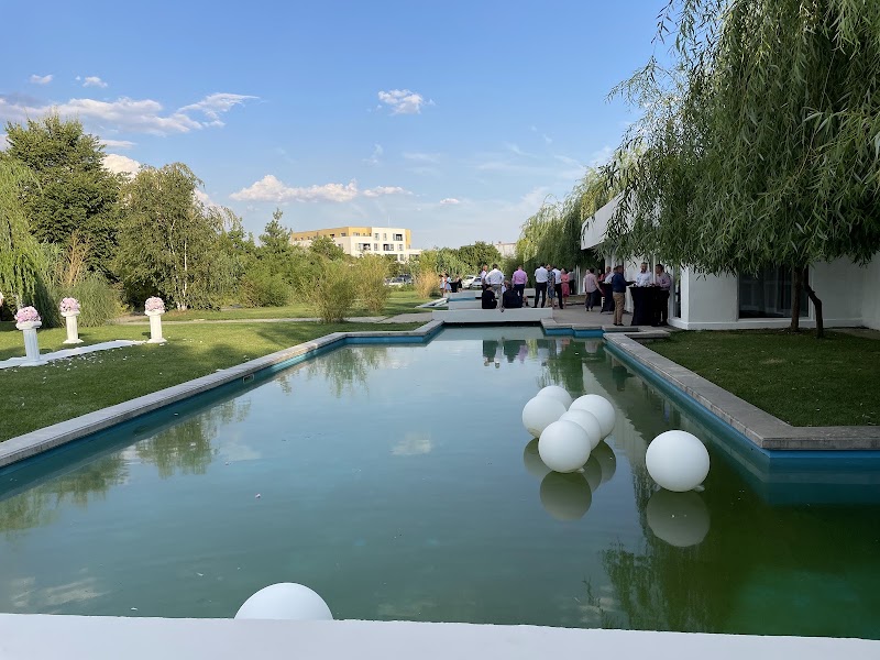 Jubile Concept — fotografia 3