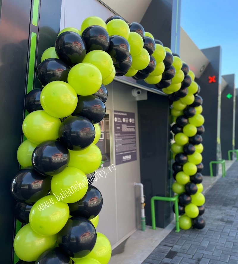 Baloane Cu Heliu Balloon Art — fotografia 3