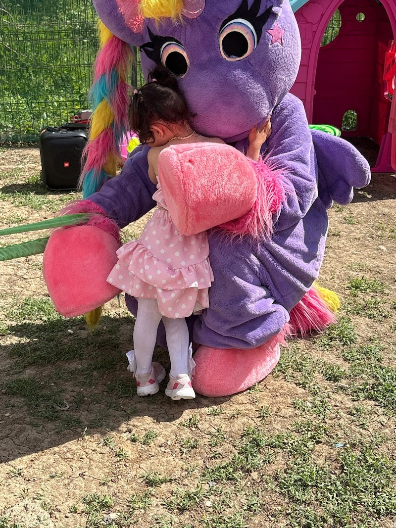Animatori petreceri copii Seeria Premium Events — fotografia 3