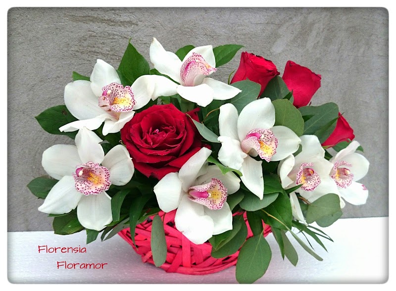 Floramor — fotografia 4