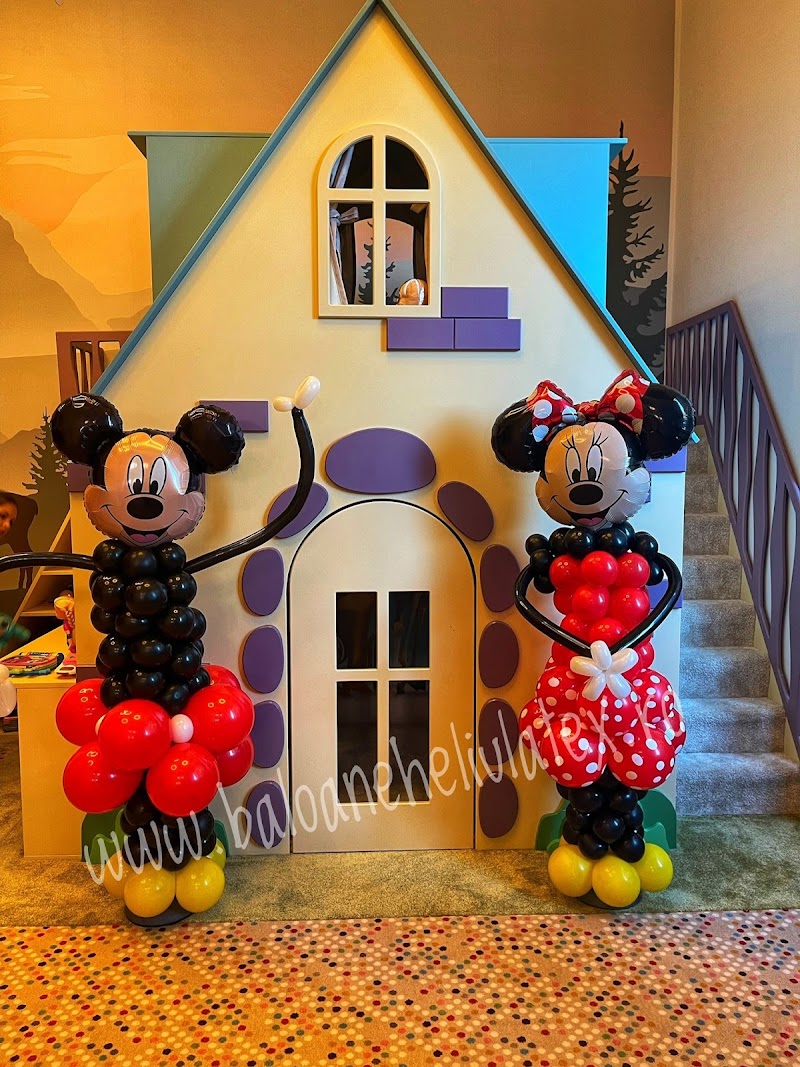 Baloane Cu Heliu Balloon Art — fotografia 4