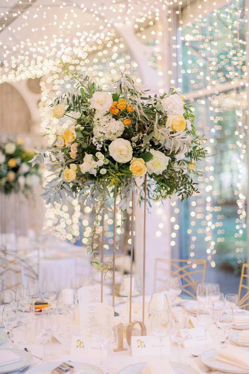 Adina Patru Weddings&Events — fotografia 5