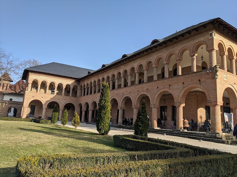 Palatul Mogoșoaia — fotografia 5