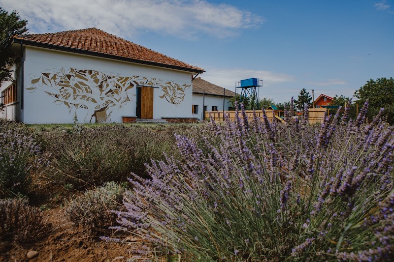 Gradina cu Lavandă • Evenimente Private & Corporate — fotografia 5