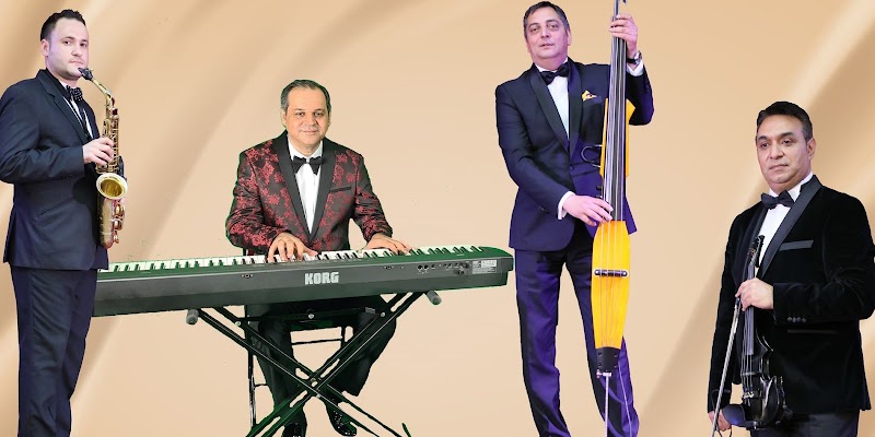 Formatie de nunta Bucuresti - Petrica Andrei Orchestra — fotografia 5