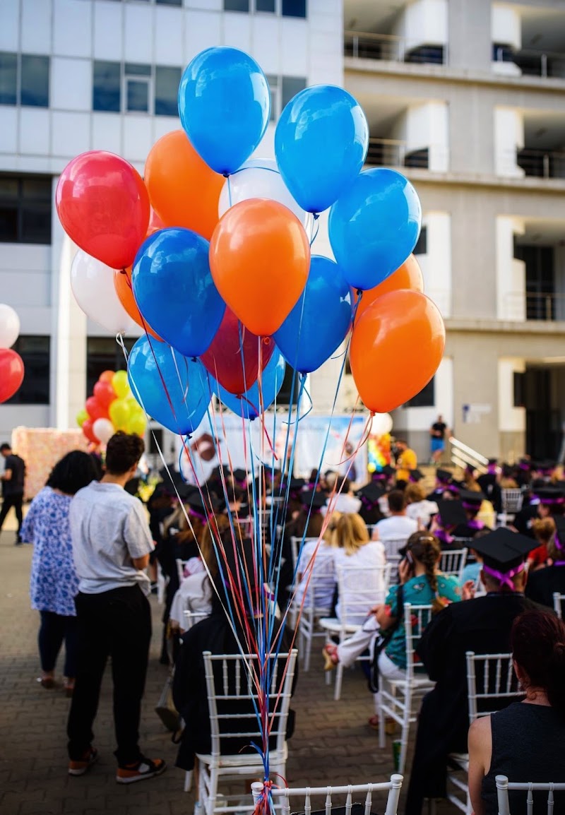 Baloane Cu Heliu Balloon Art — fotografia 5