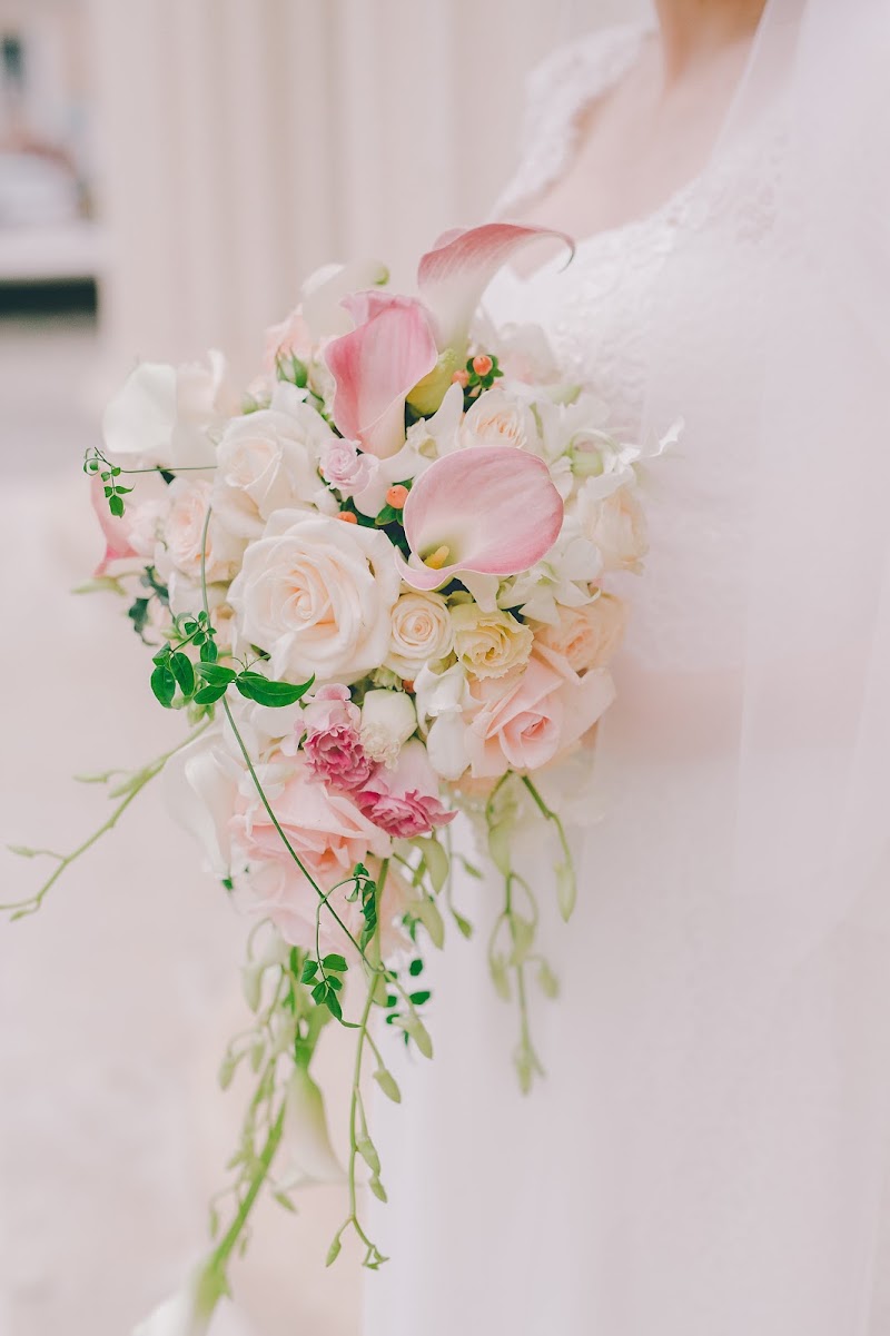 enRose — fotografia 5