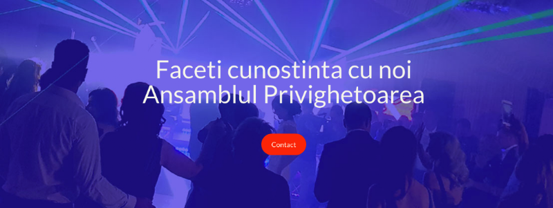 Formatii Nunta Bucuresti — fotografia 6
