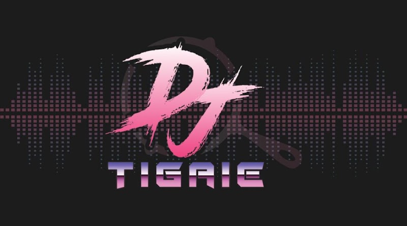 DJ TigAie Team (Tig Sound Entertainment) — fotografia 6