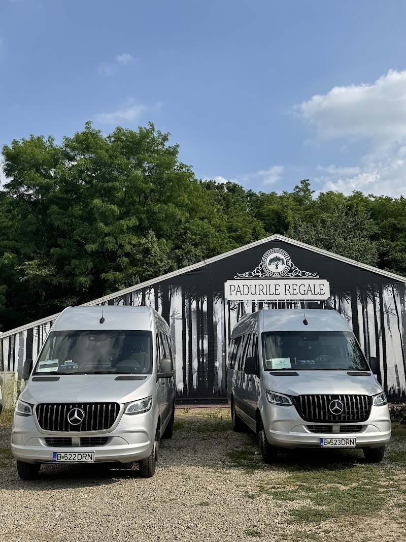 Dorini Transport — fotografia 6
