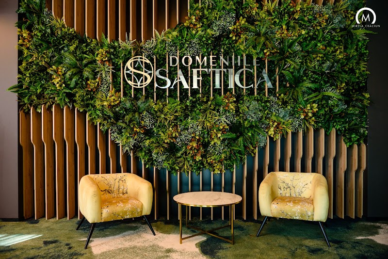Domeniile Saftica Evenimente — fotografia 6