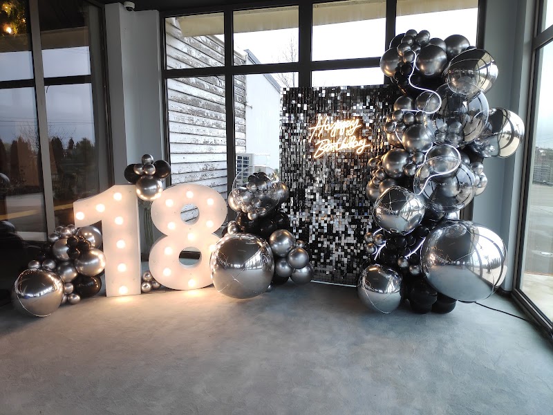 Super Party ( decoratiuni cu baloane din 2003 ) — fotografia 6