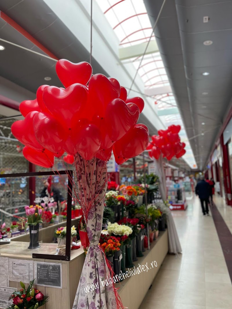 Baloane Cu Heliu Balloon Art — fotografia 6