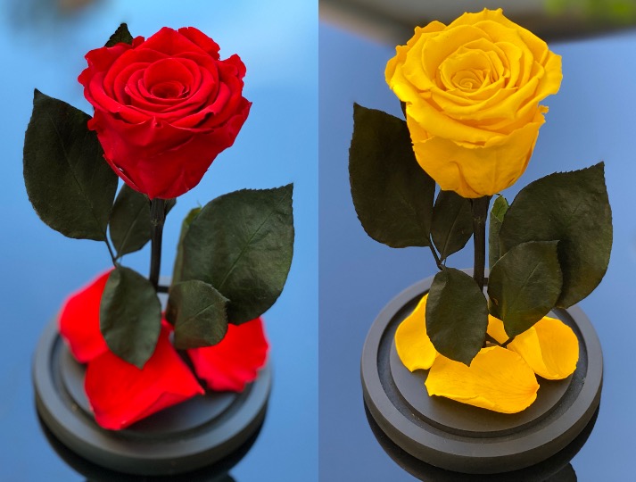 Trandafir Criogenat in Cupola de Sticla (Florarie Aranjamente Florale, Cadouri Personalizate Femei, Flori Criogenate Online) — fotografia 6